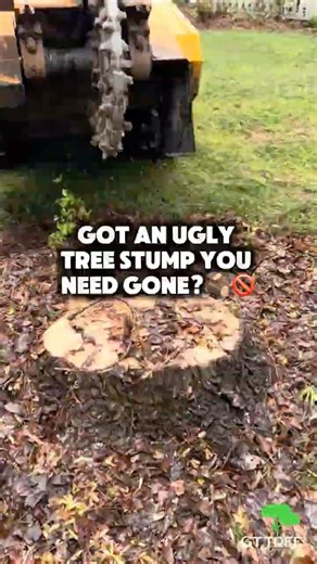 🪵🚫 Tree Stump Grinding In Atlanta #stumpgrinding