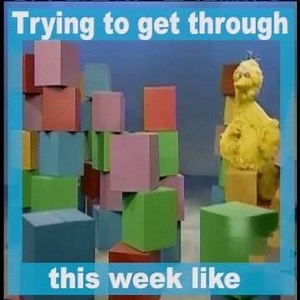 6.6M views · 24K reactions | Some weeks are tough  | Sesame Street | Facebook
