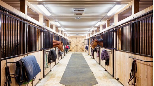 Horse Barn Flooring: A Practical Guide For Owners