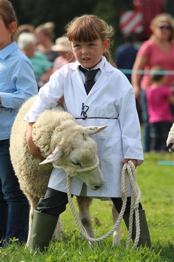 Sussex Heritage: Ploughing match and agricultural show - a great family day out