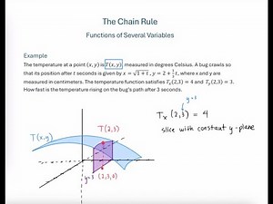 Chain Rule Application Example - Bug on Hot Plate