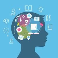 Procesos cognitivos y sus partes