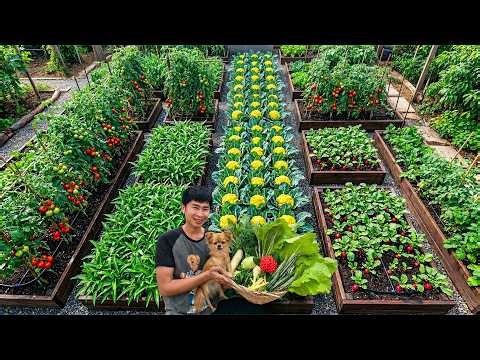 Small Backyard, HUGE Harvest 🌱| Smart Kitchen Garden Ideas That Actually Work