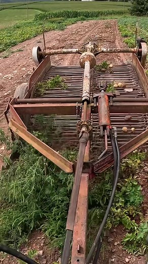 1.1K views | Digging Potatoes #potato #dig #farmlife #foryou #fy #tractor | Jonh deere | Facebook