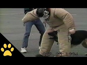 K9 Training Video Bloopers