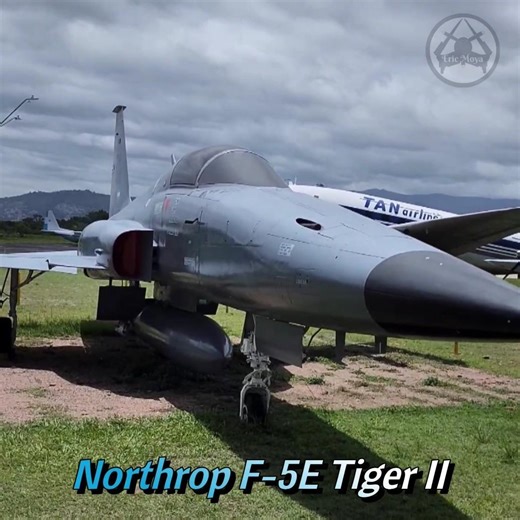 Check out the Honduran Air Force's F-5 Tiger II fighter jet #aviation #military #honduras