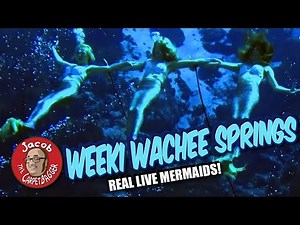 Visit to Weeki Wachee Springs - Real Live Mermaids!