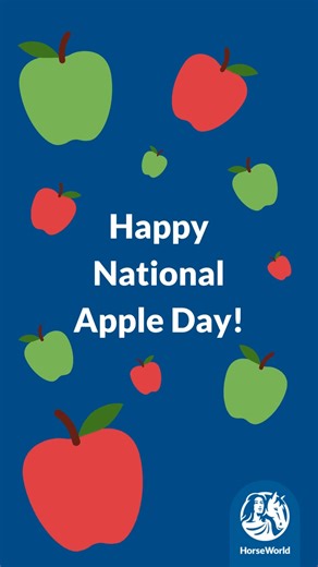 27 reactions | Watch Buddy try apple bobbing to celebrate #NationalAppleDay  Apples can be used to help with enrichment and training whilst supplying important vitamins and antioxidants to our equines. Our horses love this crunchy treat, however, we make sure all are enjoyed in moderation. Buddy loves a juicy apple and has proven he is an expert 'apple bobber'. Is it worth contacting Badminton to suggest adding this into their eventing schedule...?樂 | HorseWorld Trust | Facebook