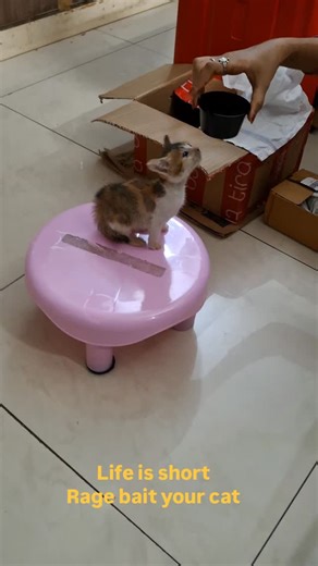 tutu on Instagram: "We have fun🥰😈"