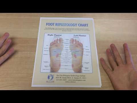 Downloadable Reflexology Charts