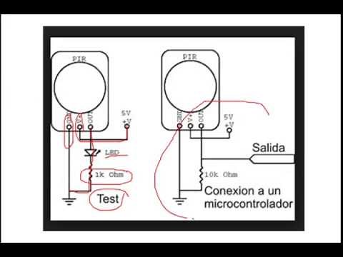 ✅ Motion Sensor (How to Connect and Test)