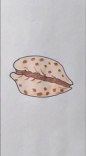 Cowrie Shell Easy Drawing For Kids #cowrieshell #kidstvforfun #trending #shorts #sea #viralshorts
