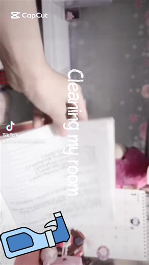 Cleaning my room#anna