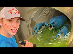 I Found Rare Creatures in a Hidden Tunnel…