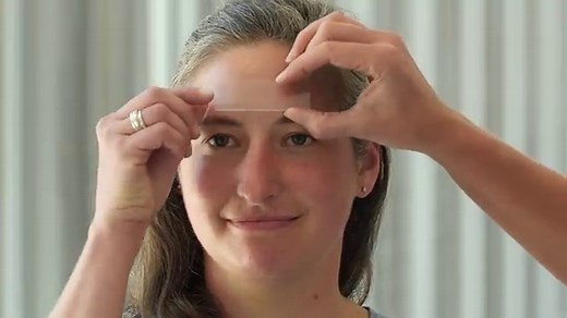 'Face Mites' Live in Your Pores, Eat Your Grease and Mate on Your Face While You Sleep