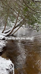 1K views · 59 reactions | Winter fly fishing in Michigan offers a...