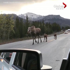 389K views · 6.4K reactions | A nature photographer who spent 100...