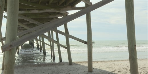 North Carolina tightens sheepshead fishing rules amid population concerns