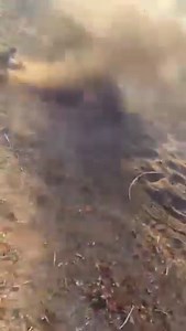 Crazy! Cartel Gang Shoots Their Enemies With Machine Guns