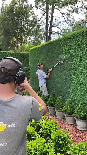 Expert Landscaping Tips from BTS