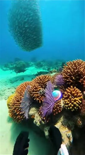 Deep Sea World Underground | Hidden Ocean Secrets Beneath the Earth