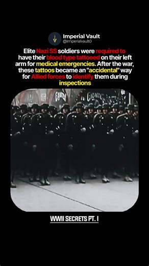 Imperial Vault on Instagram: "Elite SS troops carried a secret identifier they never expected to betray them. Their blood type tattoos were meant for battlefield emergencies but after the war they became one of the simplest ways for Allied forces to uncover who was who. A small mark became a silent witness to a collapsing regime. Hashtags: #ww2 #history #wartime #ww2facts"