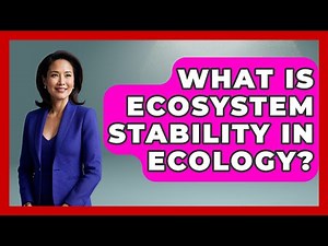 What Is Ecosystem Stability In Ecology? - Explaining Ecology