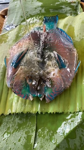 29K views · 112 reactions | Fried blue fish | Ronnie Cosip Pepito | Facebook