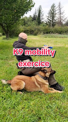 K9 Exorcist | Shepherd Dog Training Videos