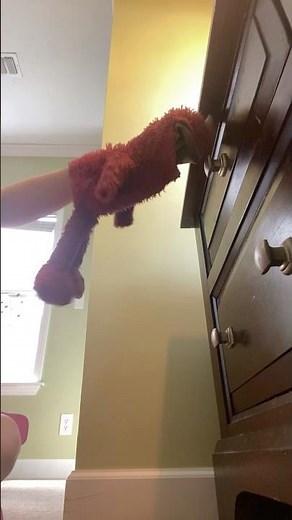elmo world woods quiz new