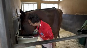 8.1K views · 196 reactions | After being narrowly denied in the 2024 Kentucky Derby, Japanese star FOREVER YOUNG is back to try the Breeders' Cup World Championships Classic. Meet groom Yasuhiro Shibuta and learn more about this remarkable horse. | FanDuel Racing | Facebook