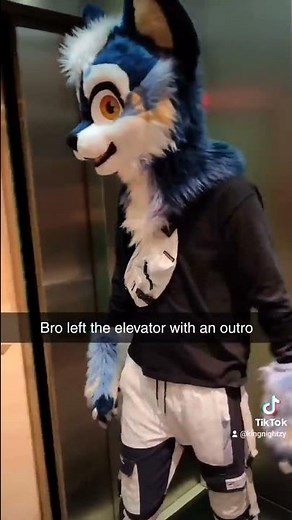 Bro Left the Elevator With an Outro 💀 (Furry Memes)