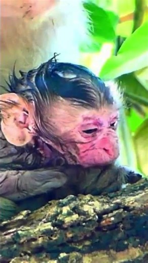 A Newborn Baby’s First Day Full of Love and Warmth