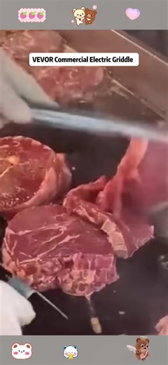 Stainless Steel Commercial Griddle for Perfect Cooking