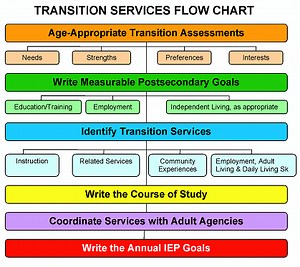 Introduction to Transition IEP Tool - Next Steps NH