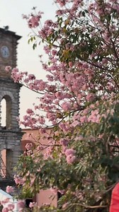 Yo soy más de tríos huastecos 😍🤠 | Huasteca