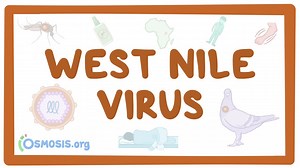 West Nile virus: Video, Causes, & Meaning | Osmosis
