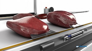 MULTIVAC Belted Chamber Machine: B 625