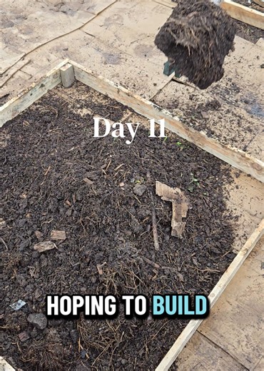 Finishing Our Allotment Beds and Preparing for Growth