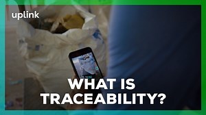 What Is Traceability?