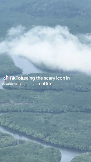 Seeing the Scary Icon in the Amazon Rainforest