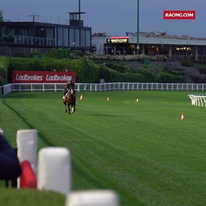 Kings Will Dream worked over 1000m in 1:06.95, final 400m in 25.04. #BreakfastWithTheBest trackwork times - http://bit.ly/2ByoABs | Racing.com