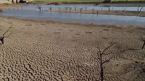 Deutschlands CO2-Ausstoß sinkt auf niedrigsten Wert seit den 1950er-Jahren