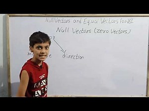 Null and Equal Vectors (JEE)‪@skwonderkids5047‬