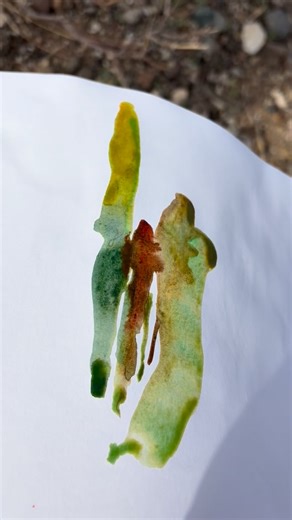 Suhita on Instagram: "Giant saguaros and purple mountains in the Sonoran desert in the winter. Alpha sketchbook, watercolor, water soluble colored pencil and ink. Arizona #sonorandesert #sketch #sketchbook"