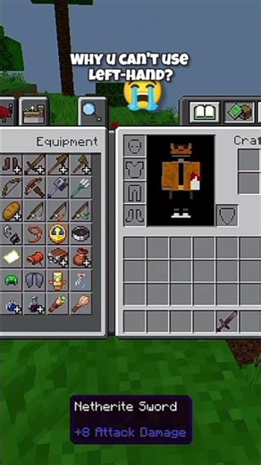 why u can't use left-hand? #minecraft