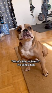 Flashback Friday has us remembering our first interaction with a male Karen or a Ken of you will 😂😂 Is he crazy or what? Let us know in the comments ❤️ #flashbackfriday #malekaren #karen #ken #crazy #dogpark #americanbully #microbully #microinfluencer | Teddy Themicrobully