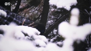 1.6K views · 55 reactions | Not too late to cut down your own Christmas tree in the Lassen National Forest! Here is a little history of why we cut Christmas trees! Check out our interactive map with more than 450 road trip locations and ideas. https://www.abc10.com/bartells-backroads | John Bartell | Facebook