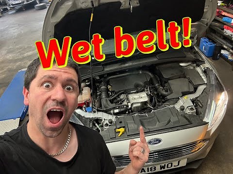 Guide to replacing the timing belt of the Ford Focus 1.0 Ecoboost