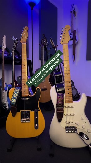 Una difícil decisión! #fender #squier #stratocaster #telecaster #comparacion #guitarra #guitarraelectrica #versus